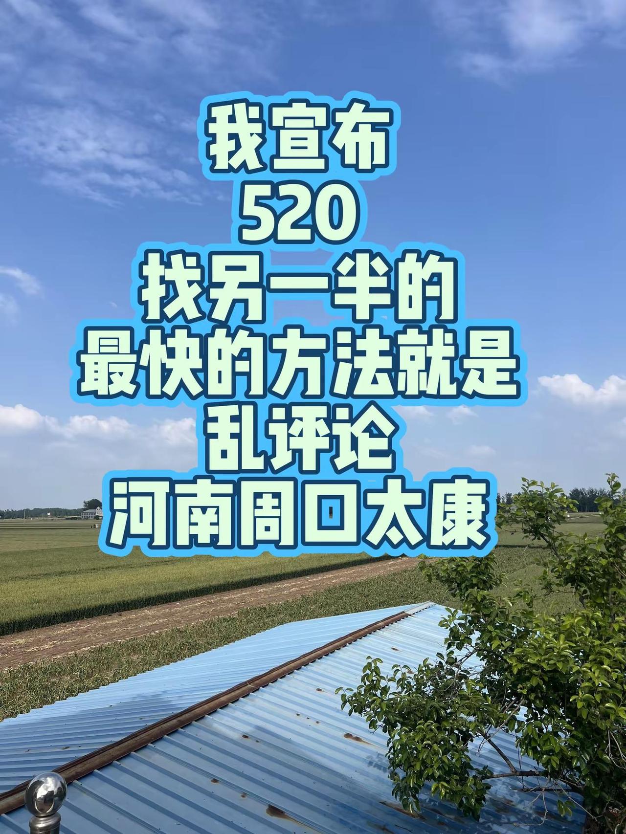 河南周口太康520脱单