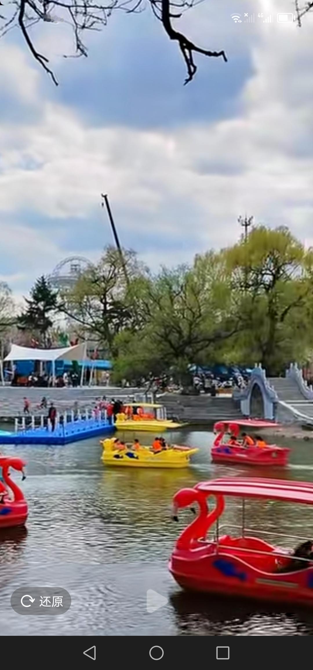 天气转暖！江北公园的人工湖也活跃了起来，各式的游船在湖面上游荡，真的是太惬意了！