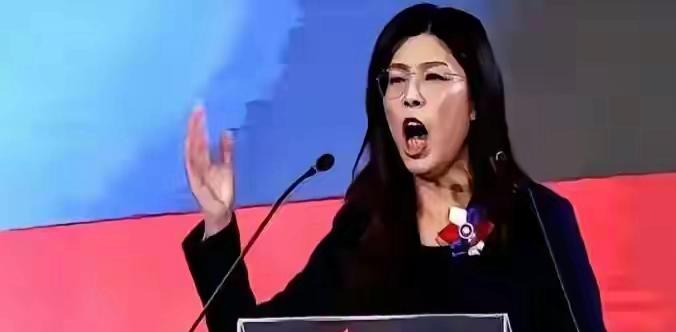 全场都安静了。

那个叫郑丽文的女人，直接把话说透了。她说“回家”这两个字的时候