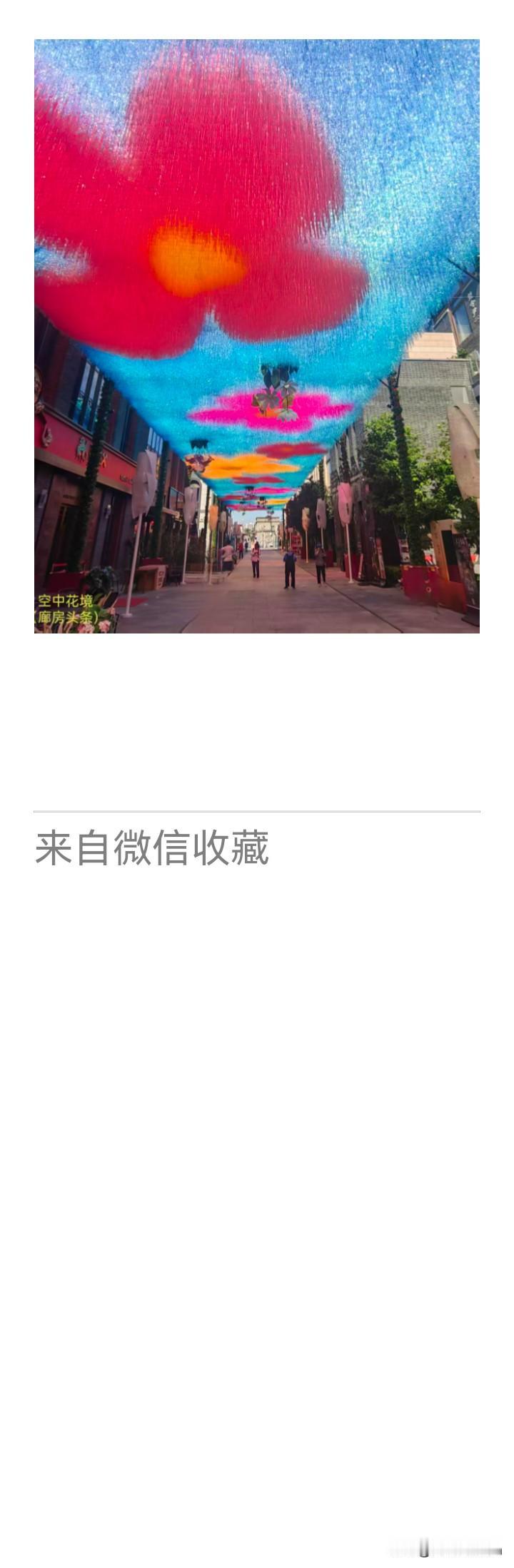 《老乐美拍·天幕花境》

古巷沐晴光，
垂丝织彩廊。
花开云影里，
犹带玉兰香。
