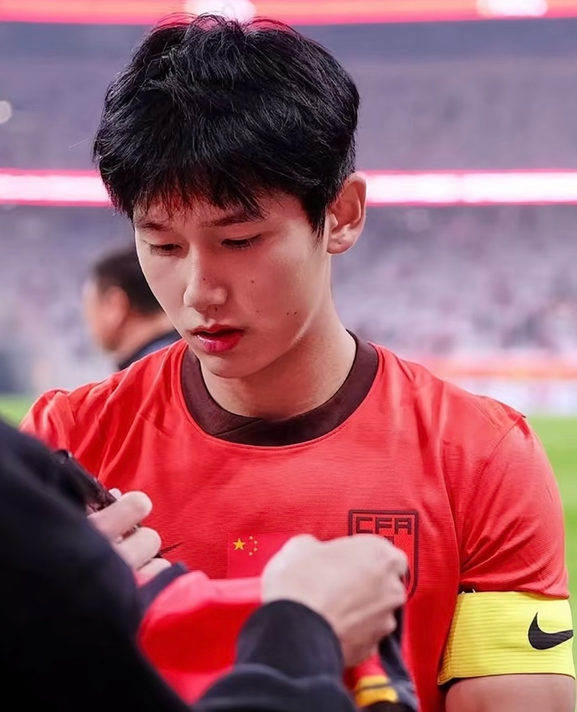 动物塑是啥，w娥就知道队长是耳廓狐变的（见过变化过程😝） 