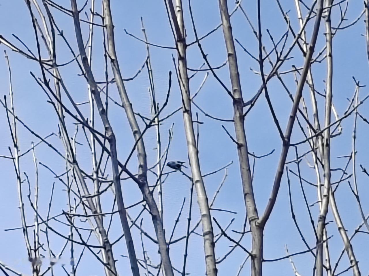 看一看，有惊喜。