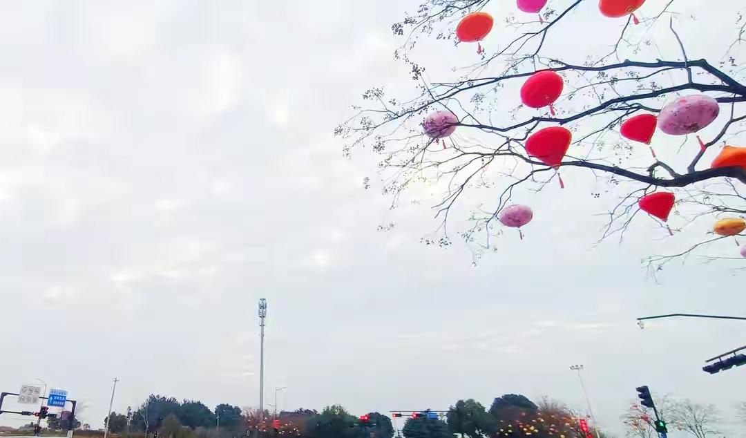 【标题：Seedance 2.0爆火出圈，真的“颠覆行业”了吗？背后隐藏的深层逻