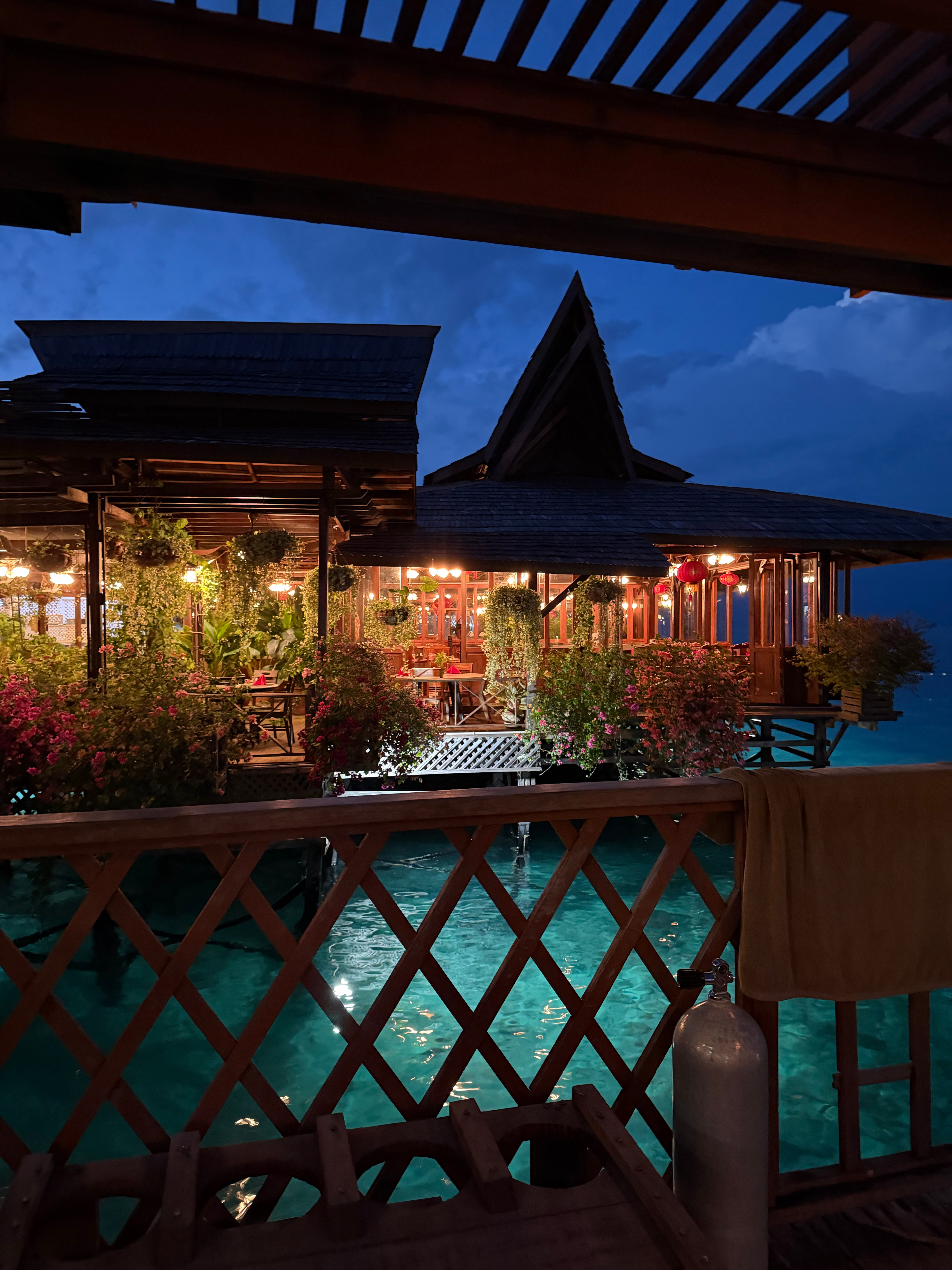 一大波自拍即将来袭 