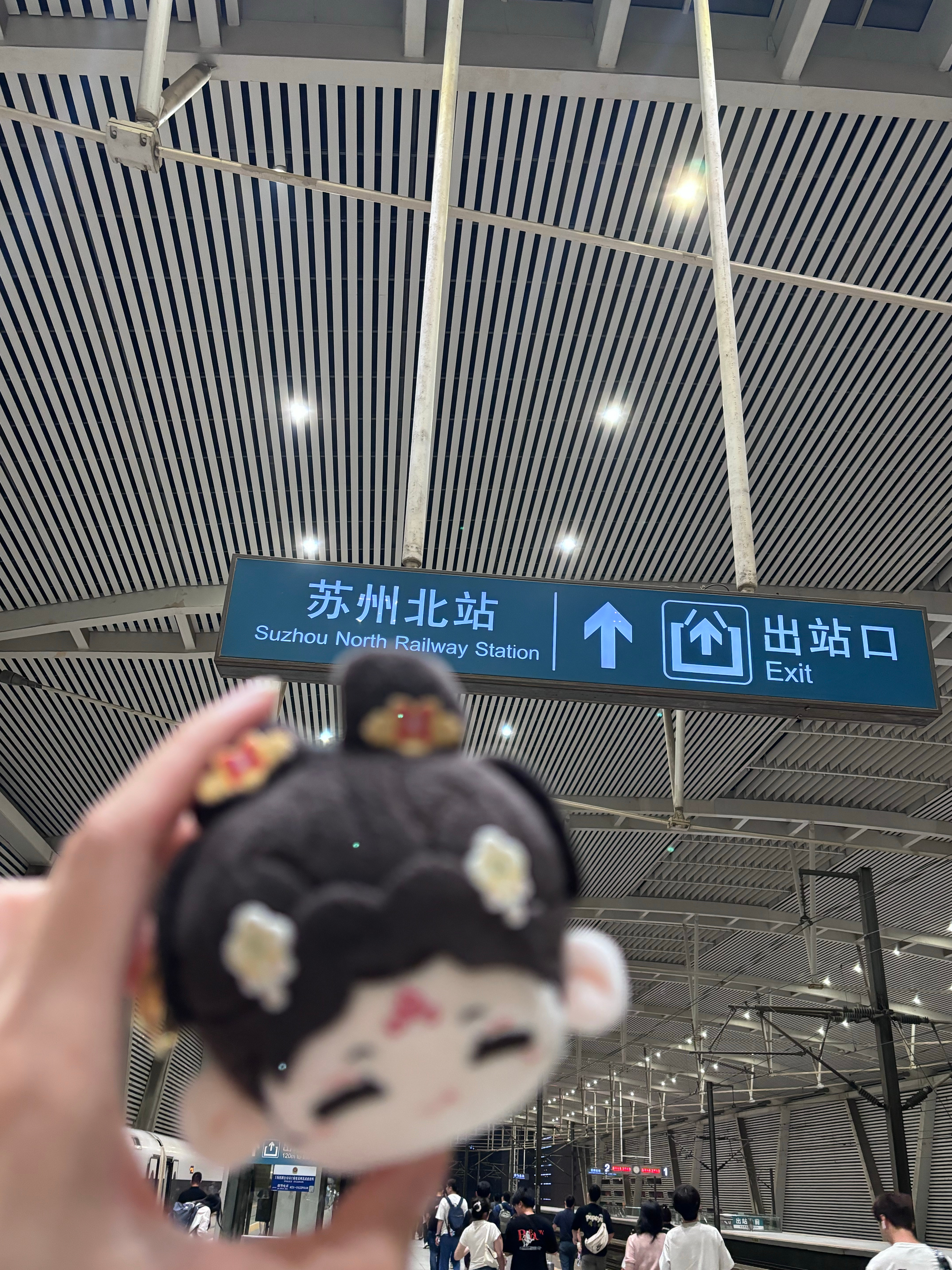我终于到了 