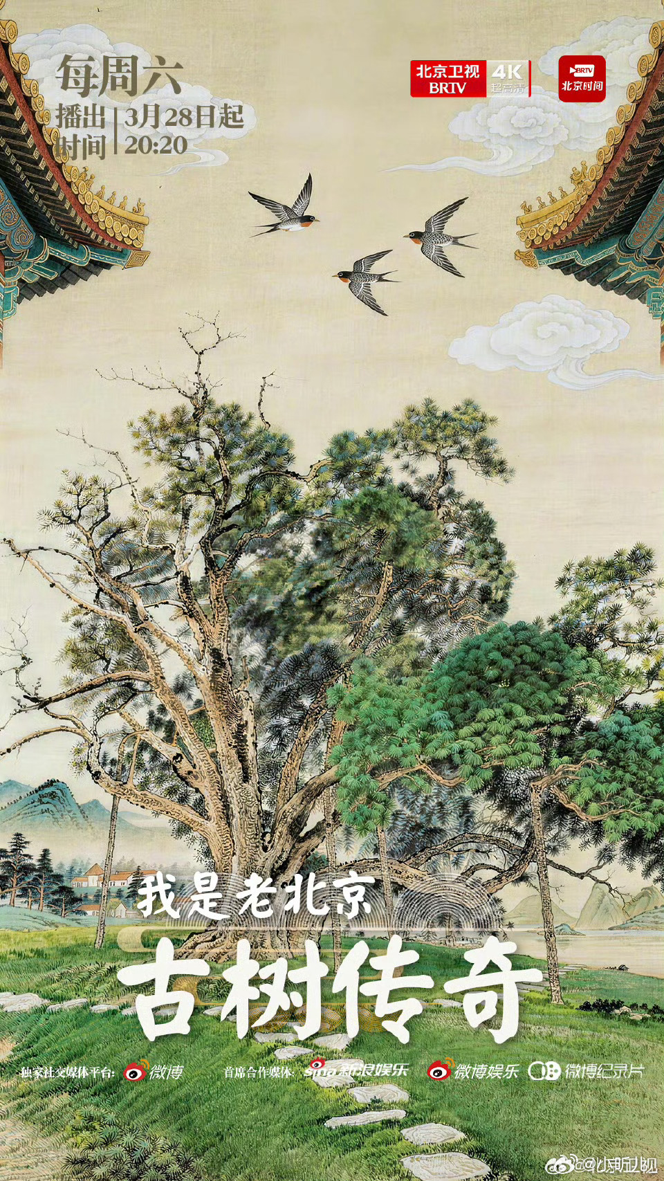 北京二环路中央的神奇古树二环古树守着百年车流，密云树王看尽3500年风云。它们是