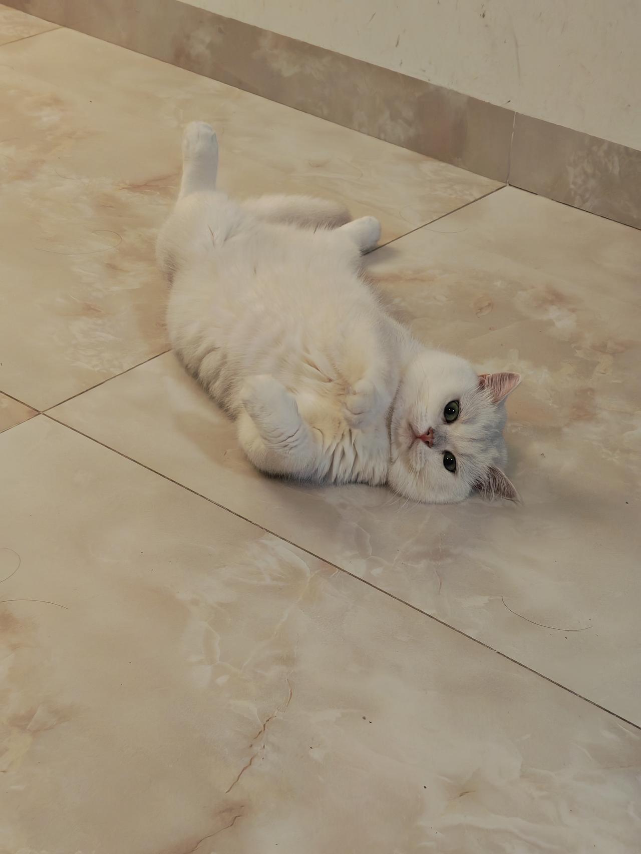 路：靠自己走，才有骨气。
钱：靠自己挣，才有底气。
事：靠自己扛，才能面对。
家