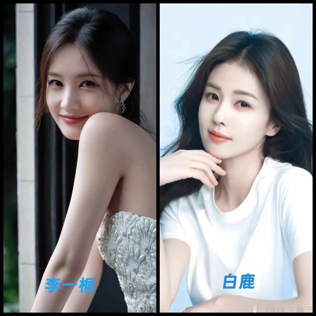 终于明白了，李一桐和白鹿，明明长相类似，气质相近，为什么发展路线却不太一样呢？李