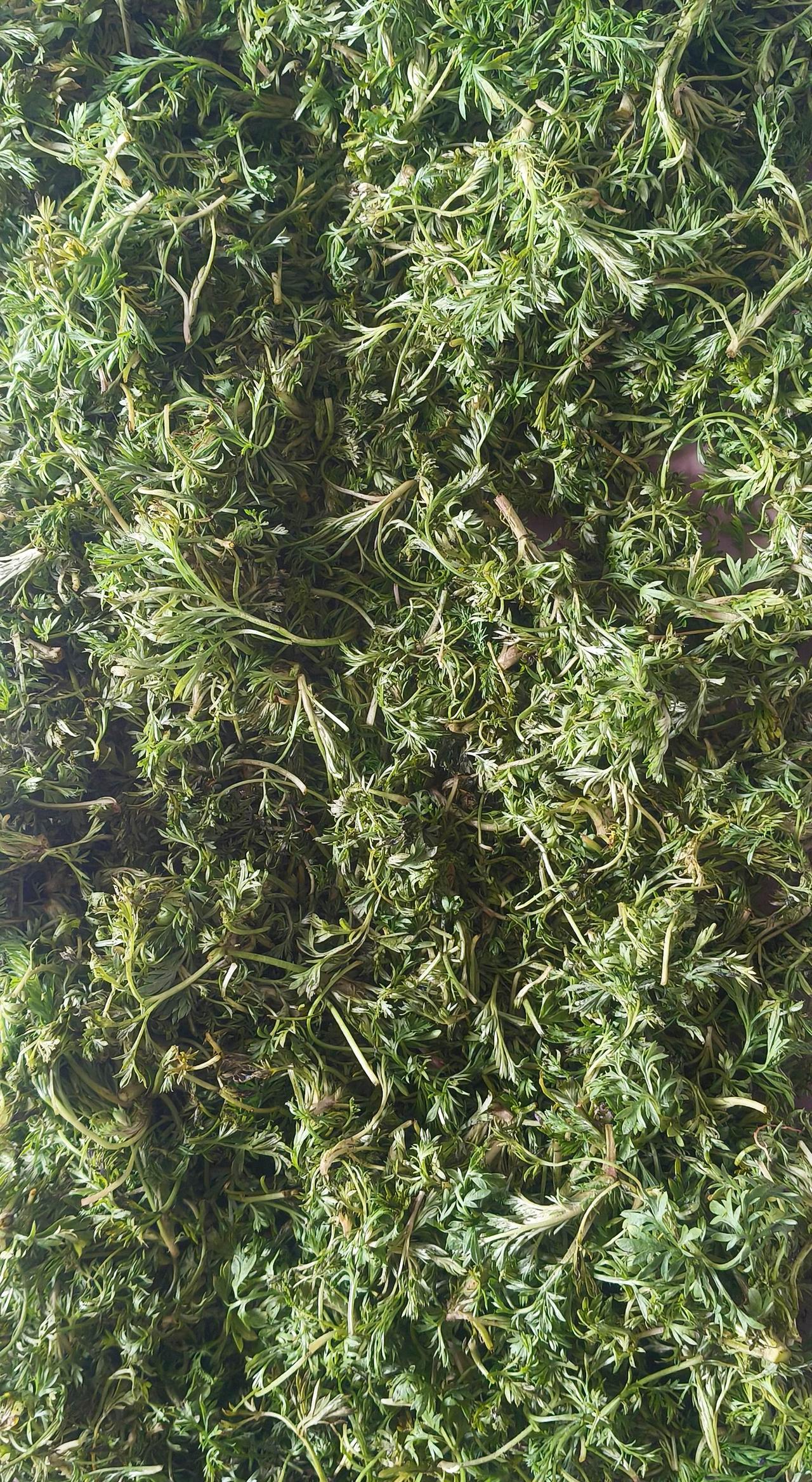 我知道你们很急，但请先别急！
大清算下，特别是进入立夏后，接下来遇见的任何事情，