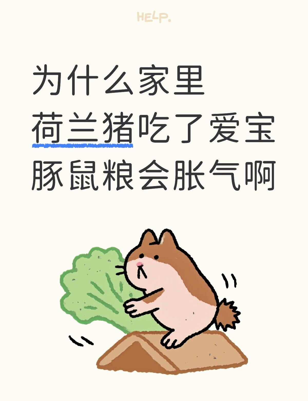 有人知道为什么吗
平常一般是无限量草+一把豚鼠粮+一点水果蔬菜。为什么会胀气啊，