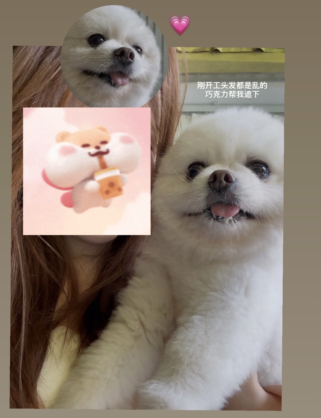 又捡到一个可爱老巧 ​​​