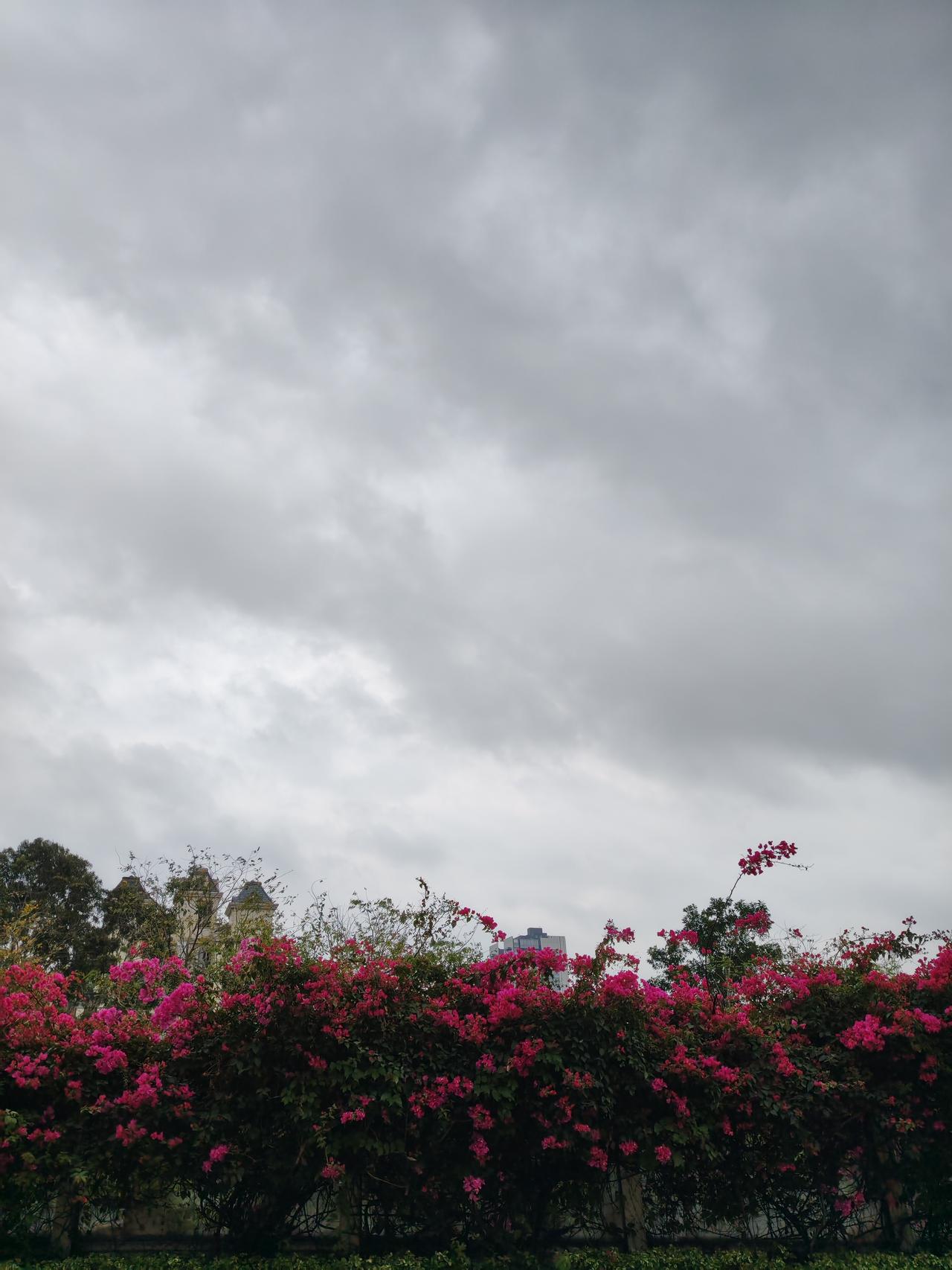 2026年4月A股交易规则系统性调整，带来诸多挑战。盘后固定价格交易扩至全A股和