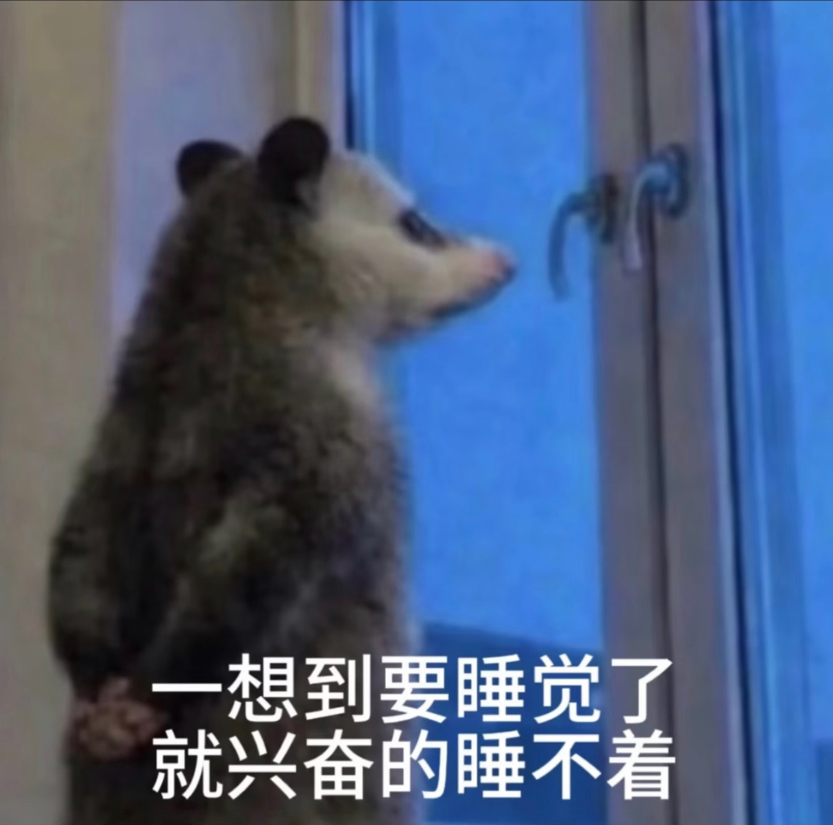 我现在已经很困了但我舍不得睡咋办