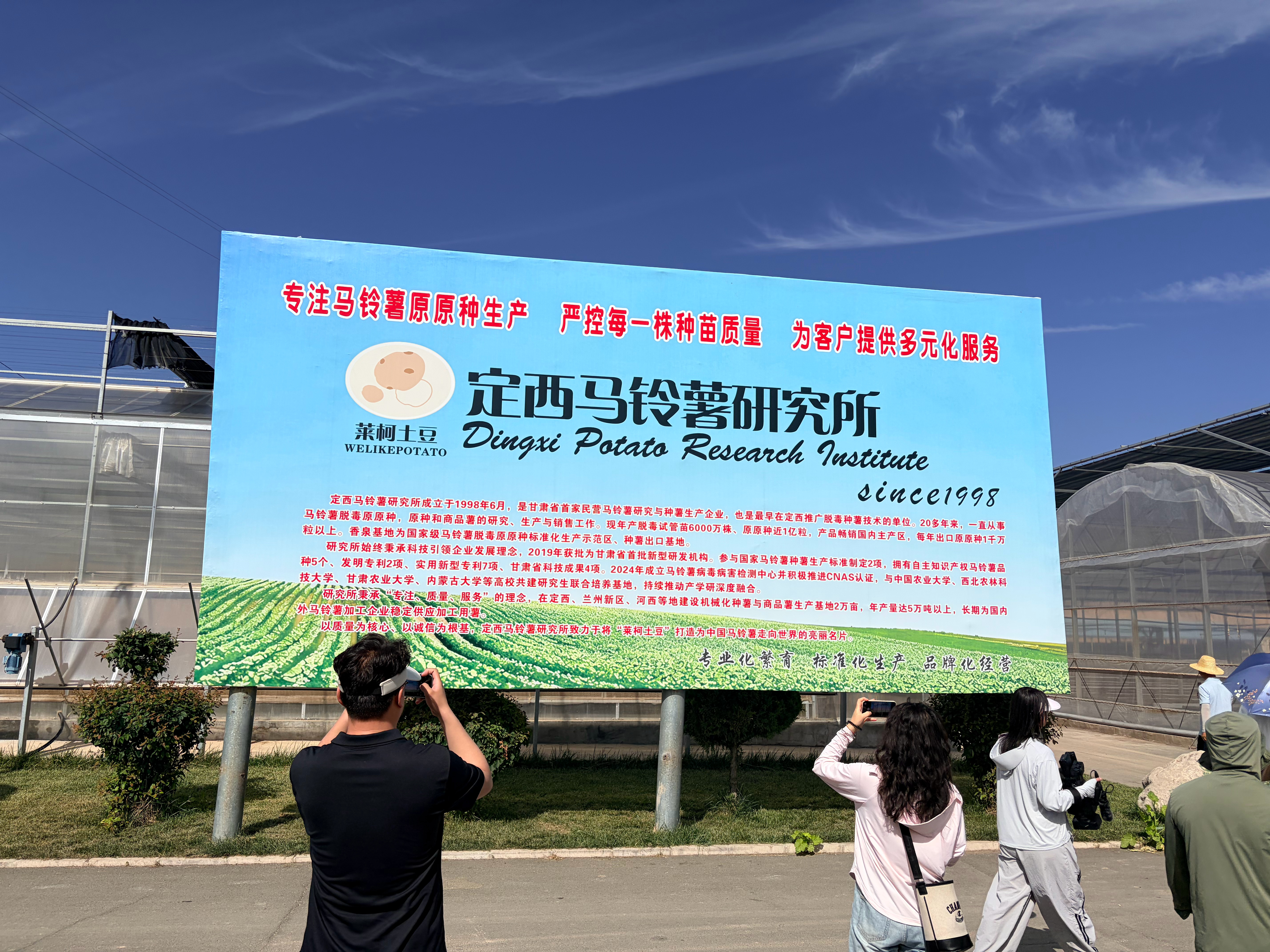 万千气象看陇原 来之前以为土豆就是在土里埋着，结果到了现场有点惊到了！悬挂的根系