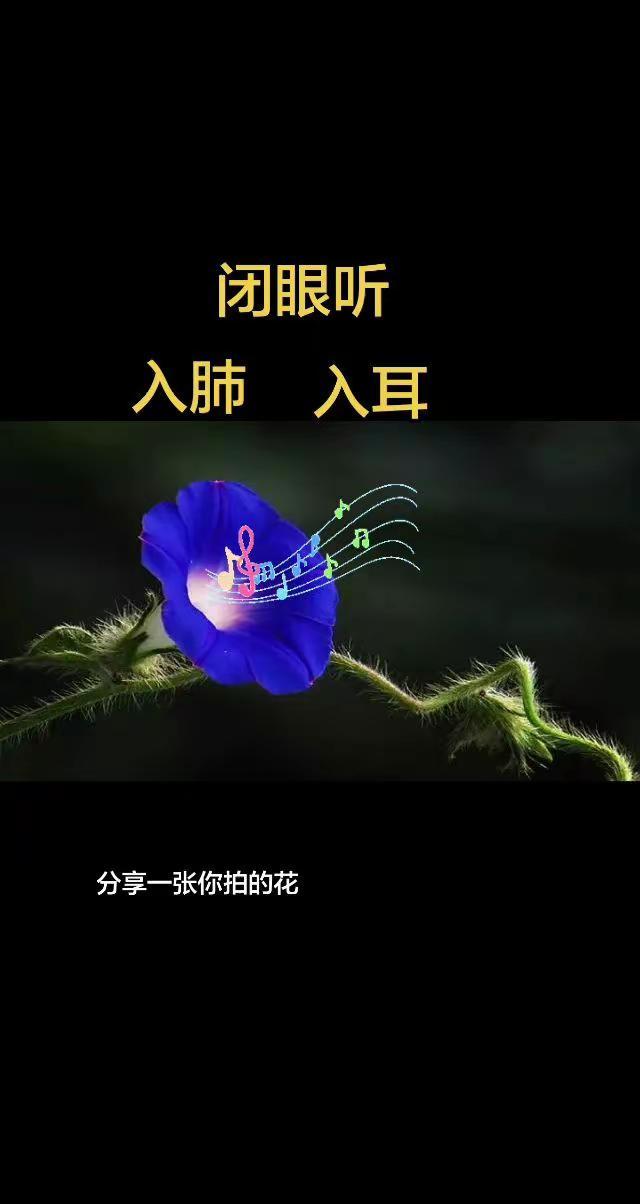 用你拍的照片，配上这首秦腔吧。…
