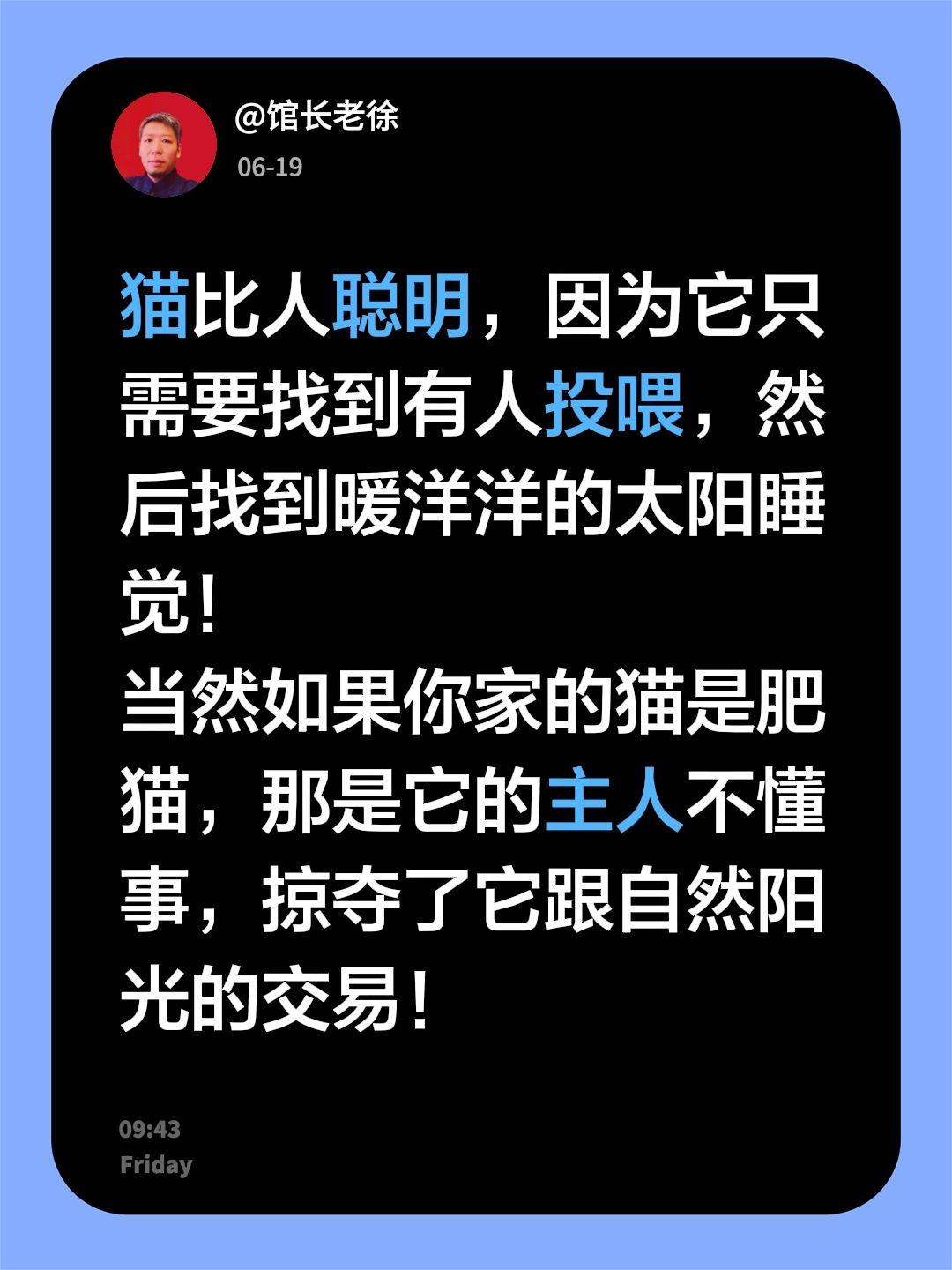 猫比人聪明，因为它只需要找到有人投喂，然后找到暖洋洋的太阳睡觉！
当然如果你家的
