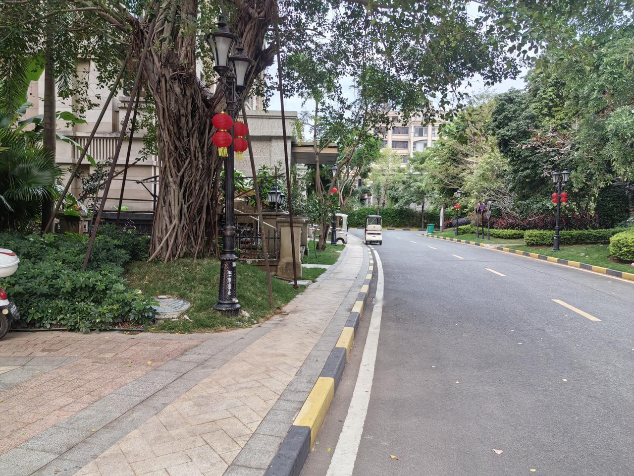 今年冬天的不同这里是小区一角