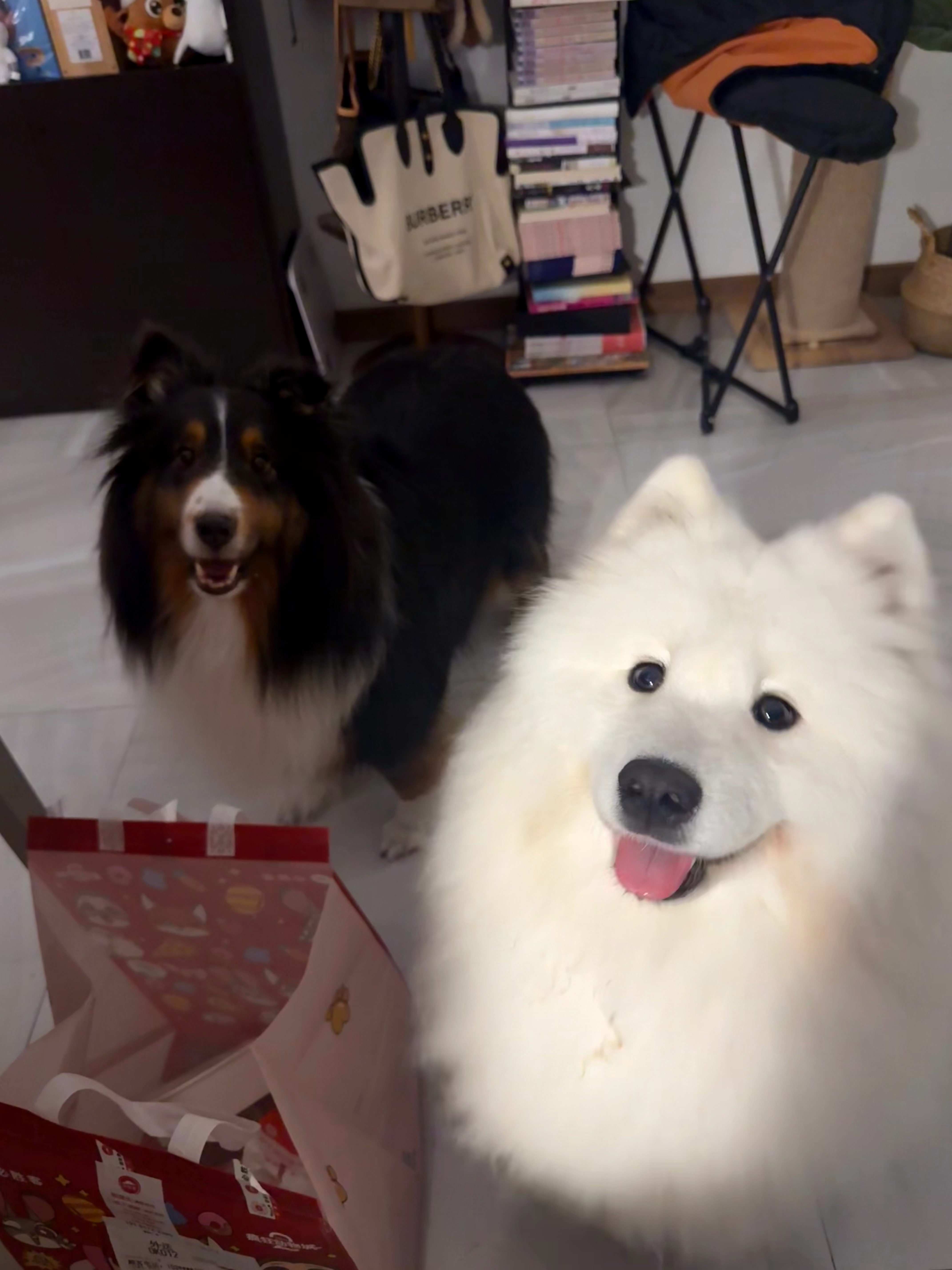 好可爱