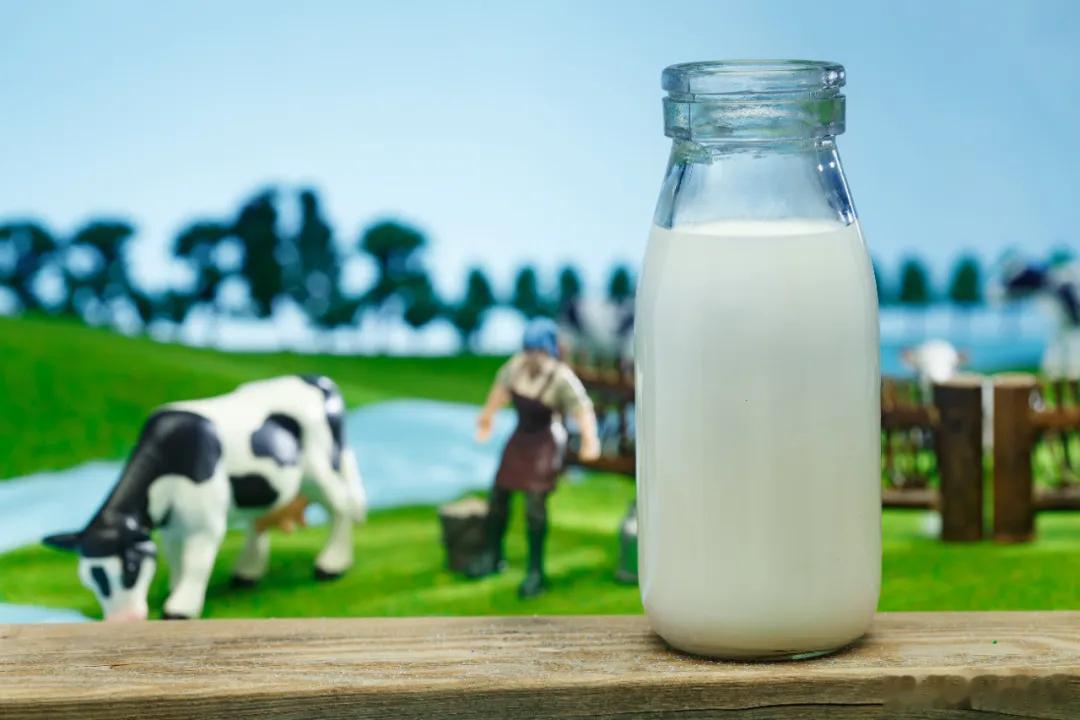 【君乐宝IPO大限将至，南下鲜奶能否绝地逢生？】距离自设的上市大限仅剩几天，君乐