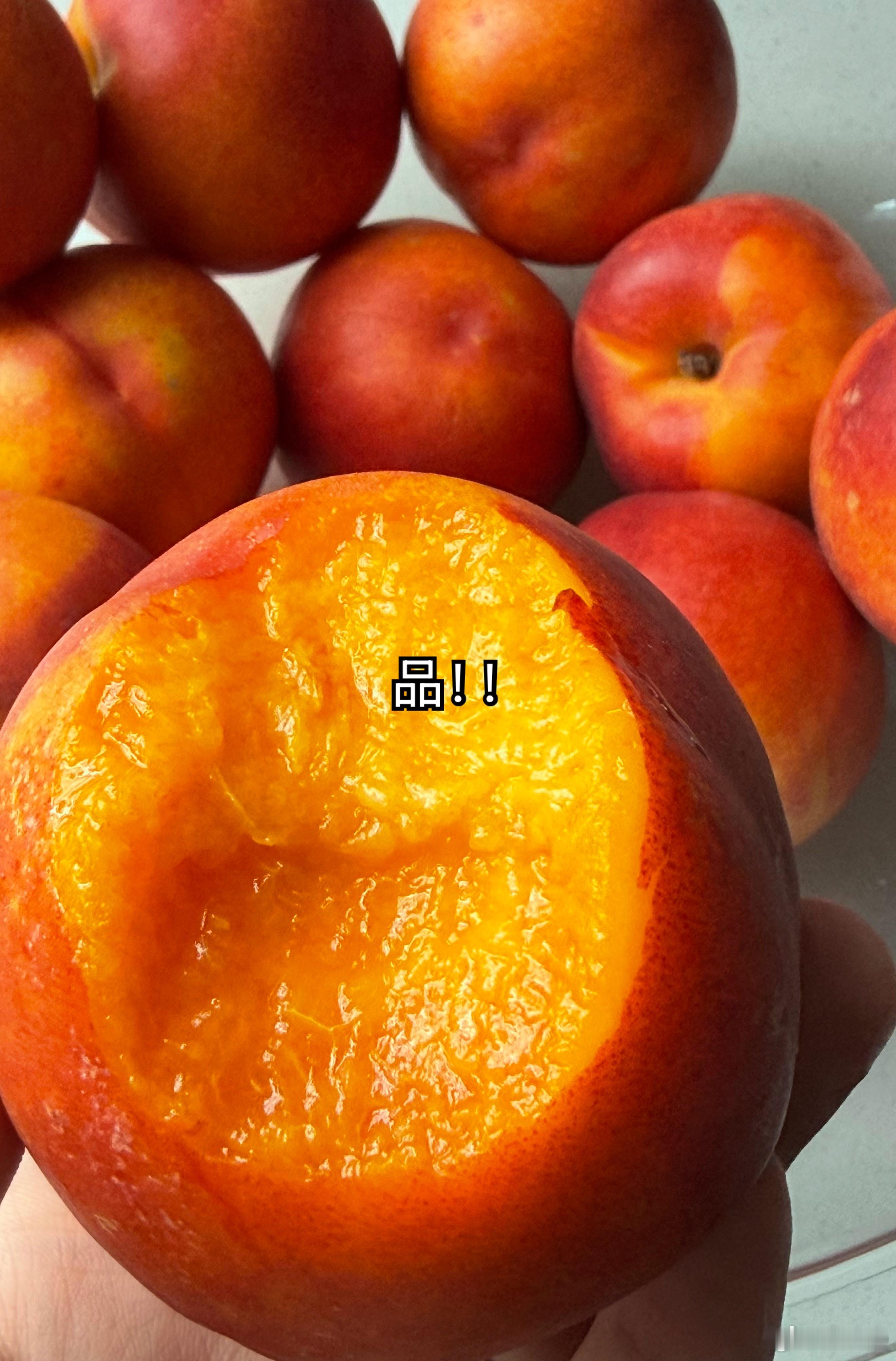 分享图片 