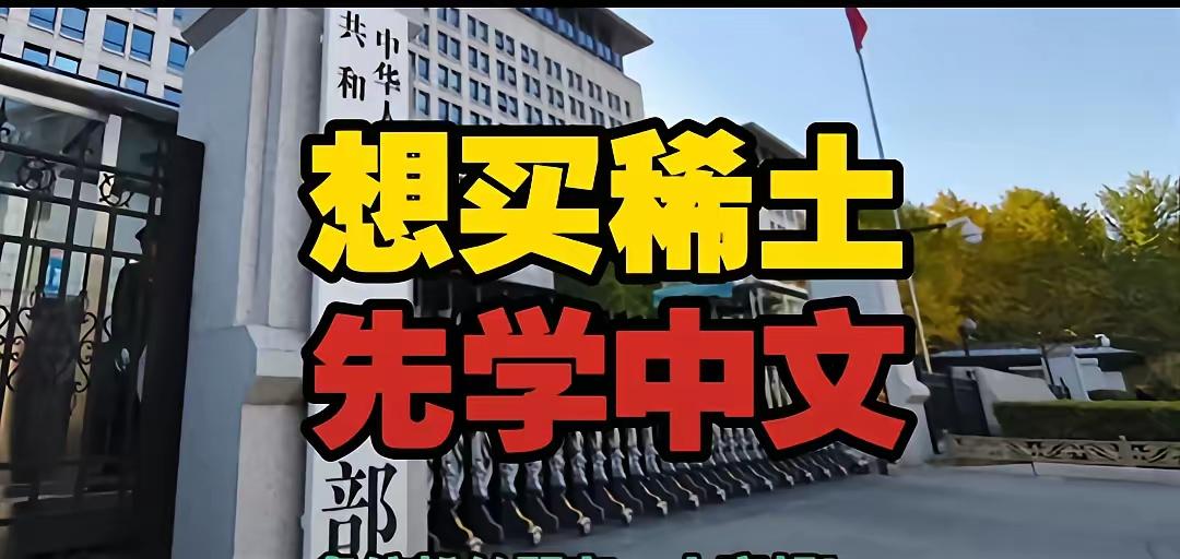 这回轮到老外学中文了。

想买中国的稀土，得先会用WPS填中文申请表。

10月