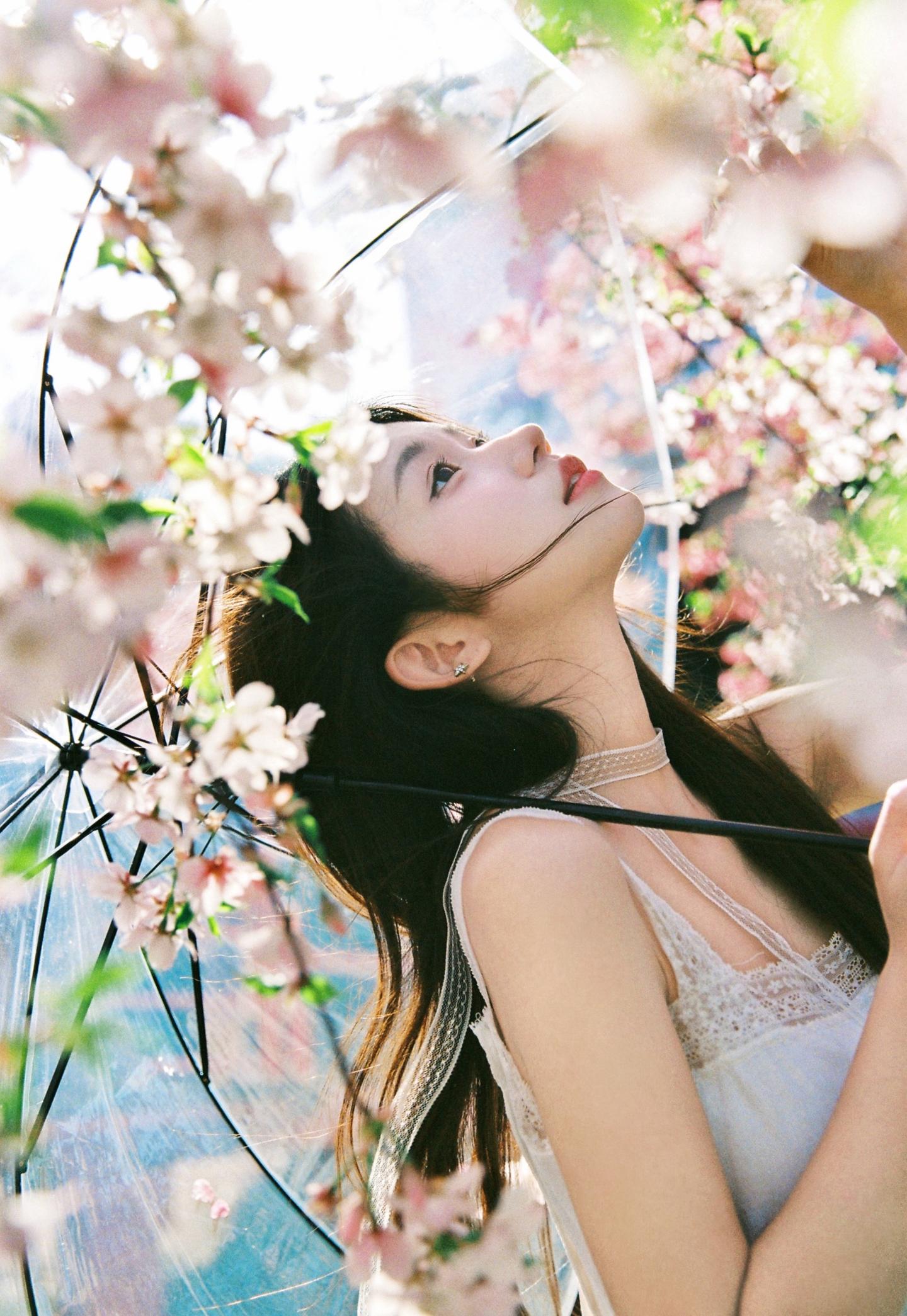 春有春的来意。