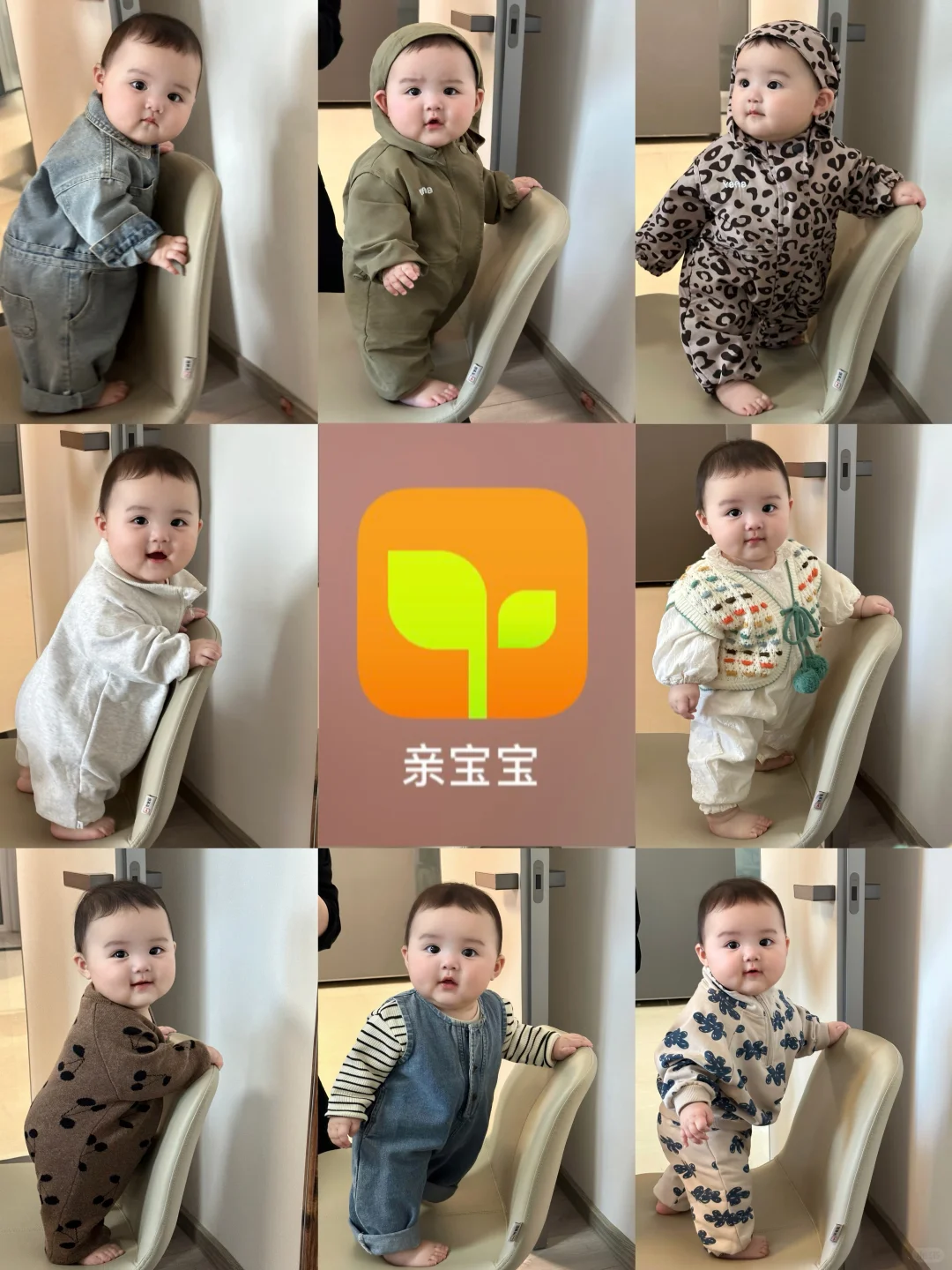 姨姨们是从哪张照片认识我家胖宝宝的呢？