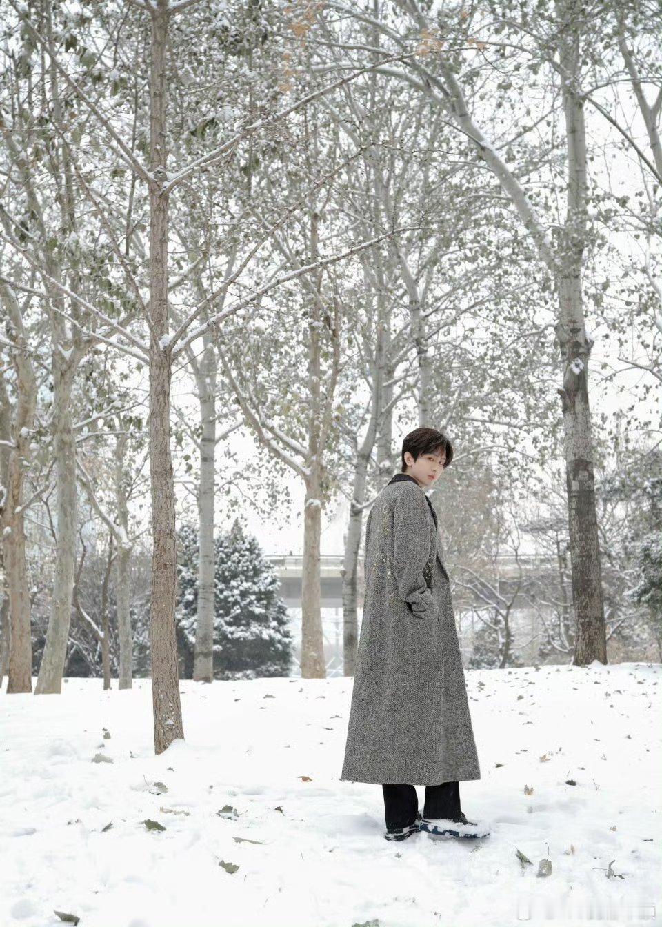 成毅天地剑心cy成毅王权富贵成毅，愿所有繁华皆入你眼，所有烦恼自行消散，愿你星途