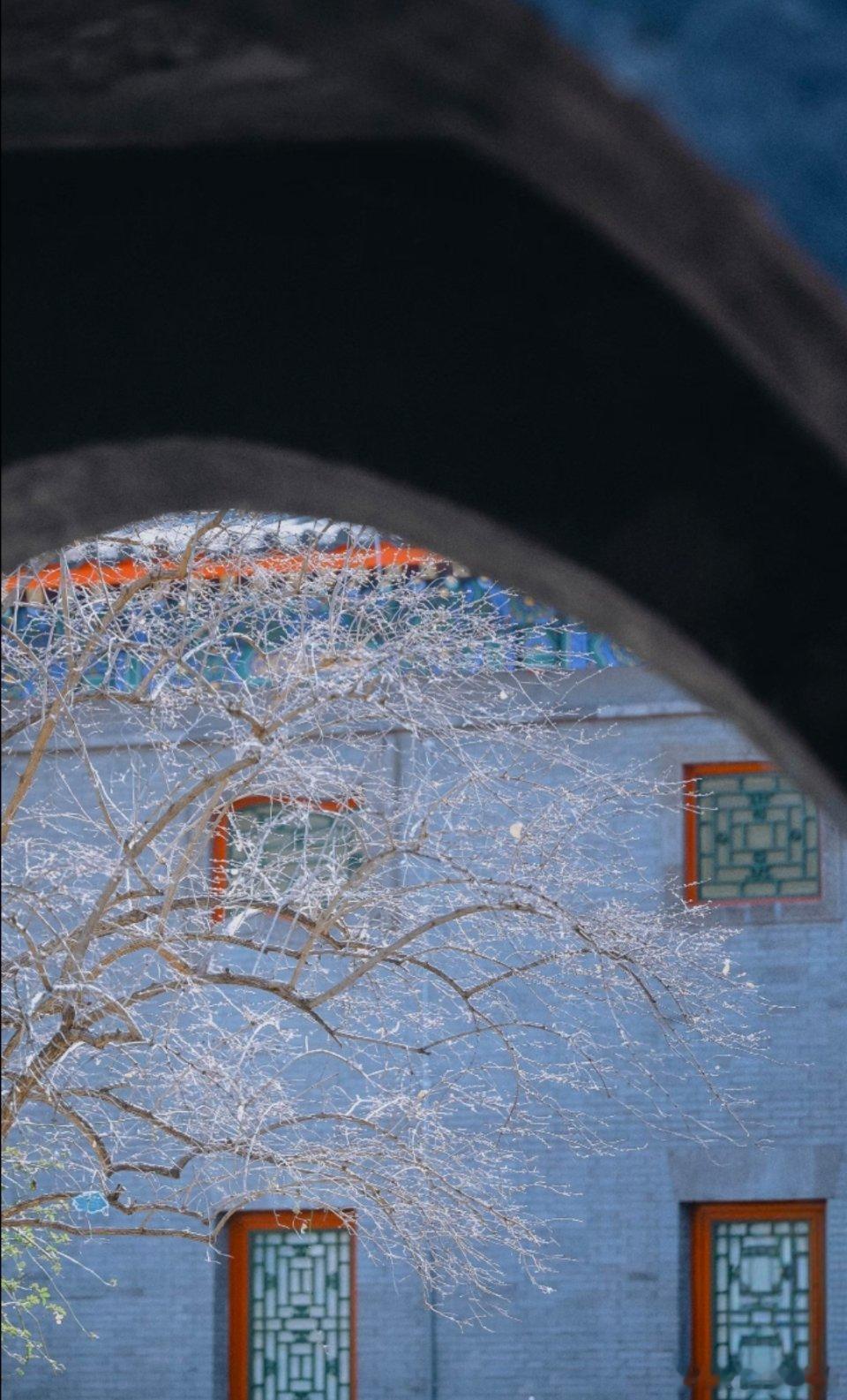 来自恭王府的中式美学[鲜花] ​​​