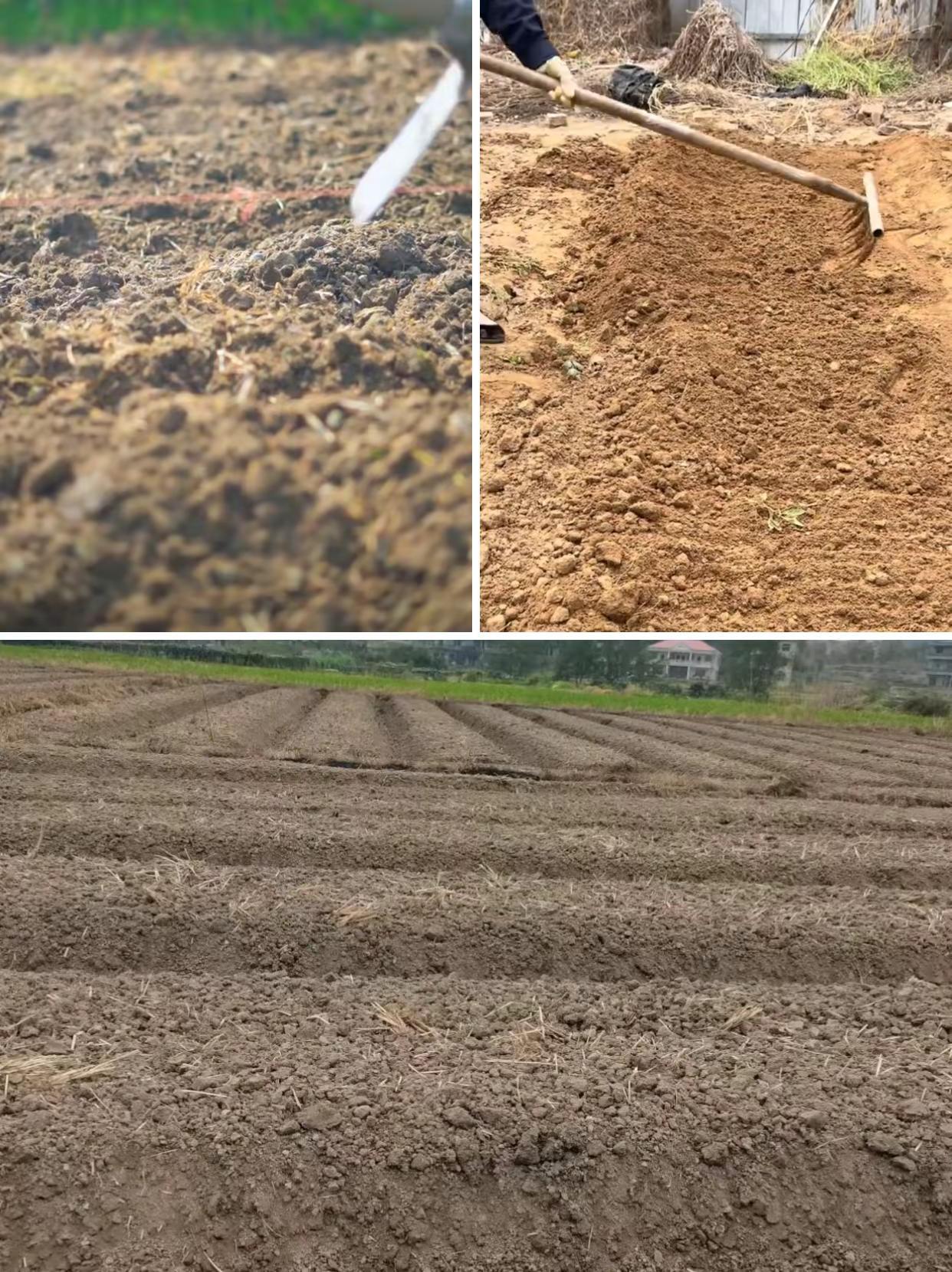 你们开始翻地做秋播准备了吗？。翻地