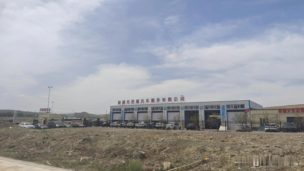 桃园路的公交首末站，怎么成了旅游公司的“停车场”？

    有粉丝反映，桃园路