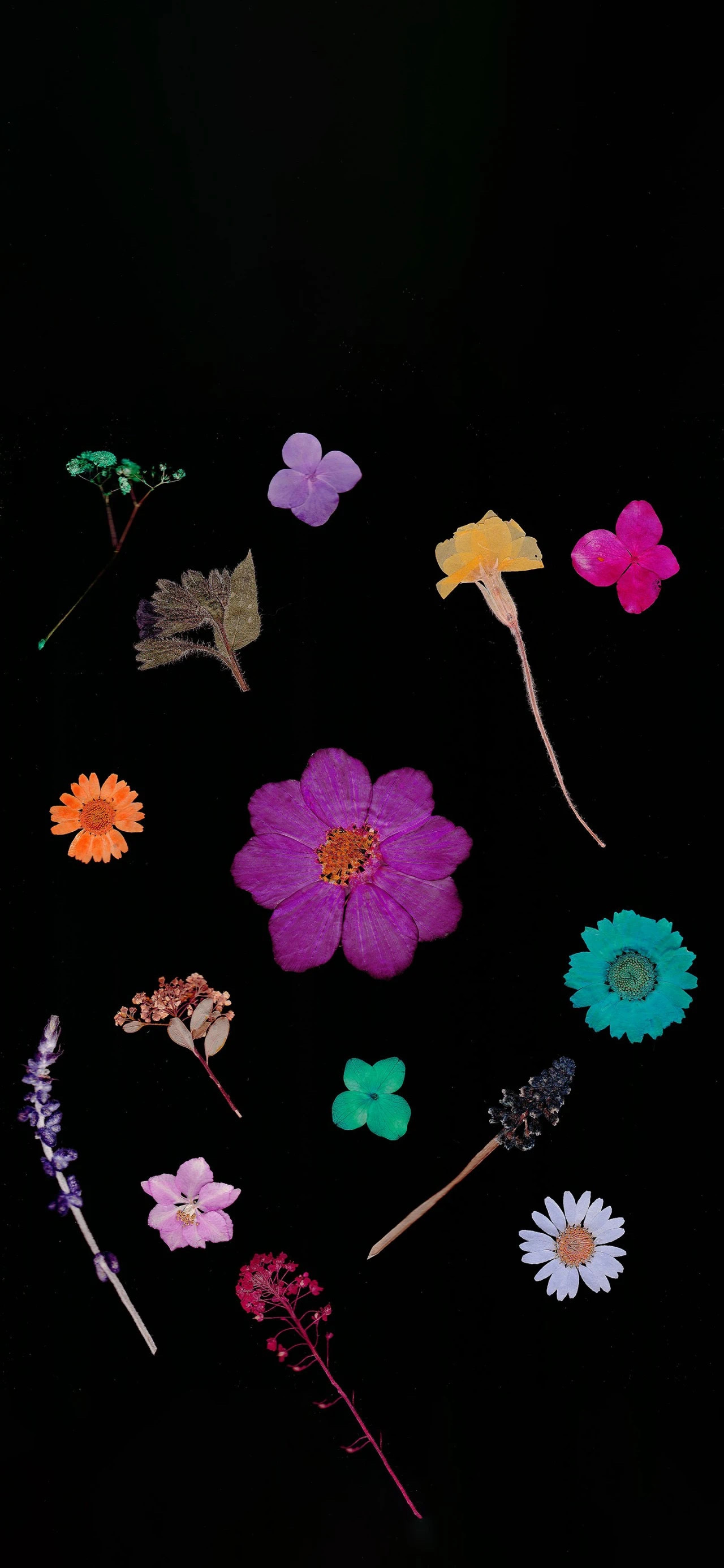 🚎𓏽·𝗦𝗽𝗿𝗶𝗻𝗴春有约，花不误，赴一场春日之约。野餐 鲜花 洒