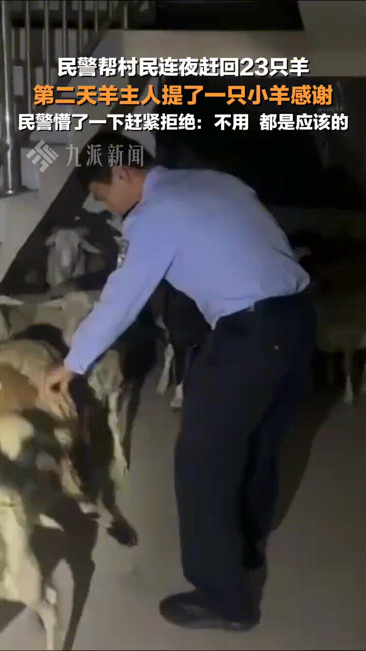 湖北襄阳，民警帮村民找回23只羊主人送小羊感谢，民警懵了一下赶紧拒绝，“不用，这