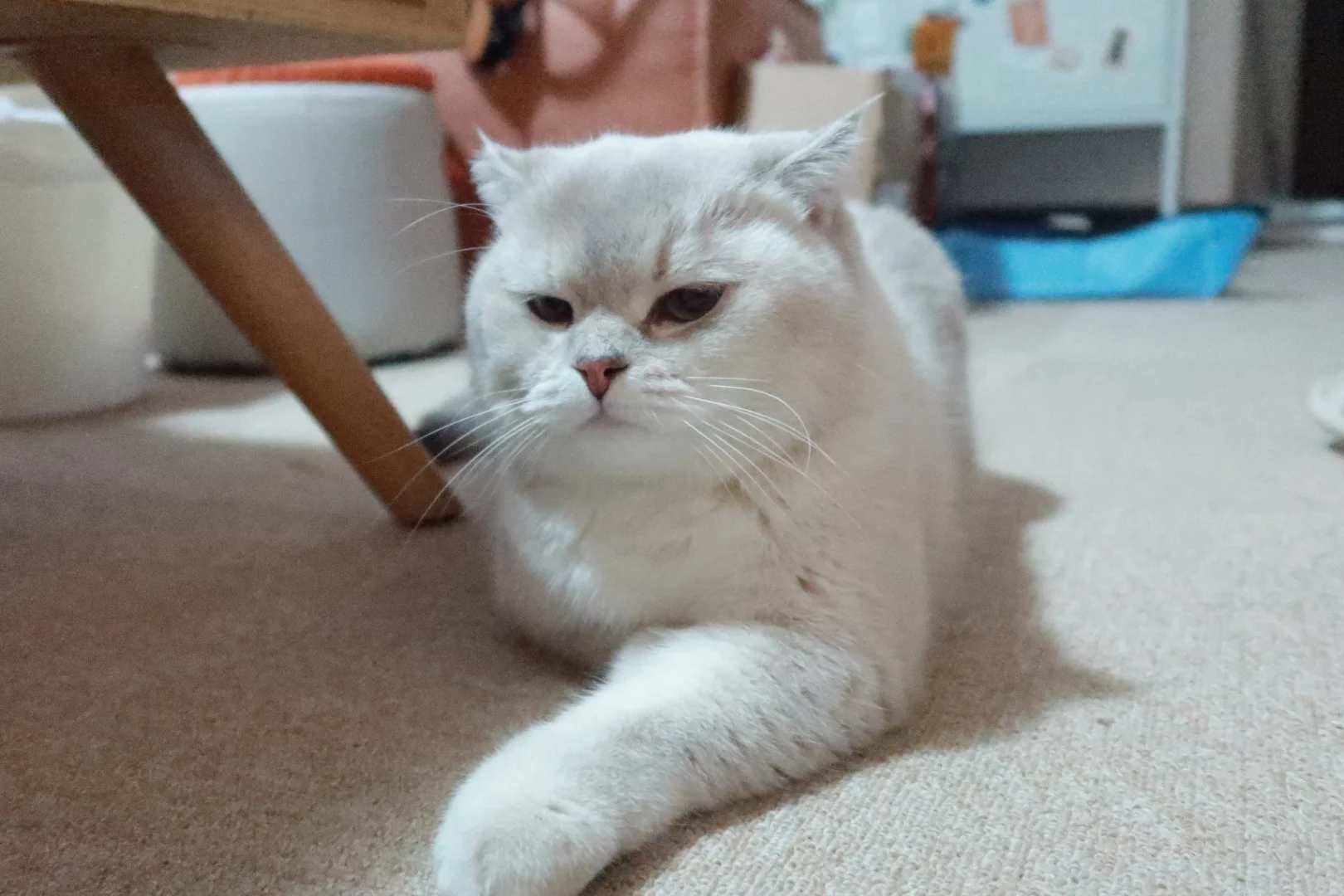 什么勾石相机，拍得我儿像弱智，明明那么可爱