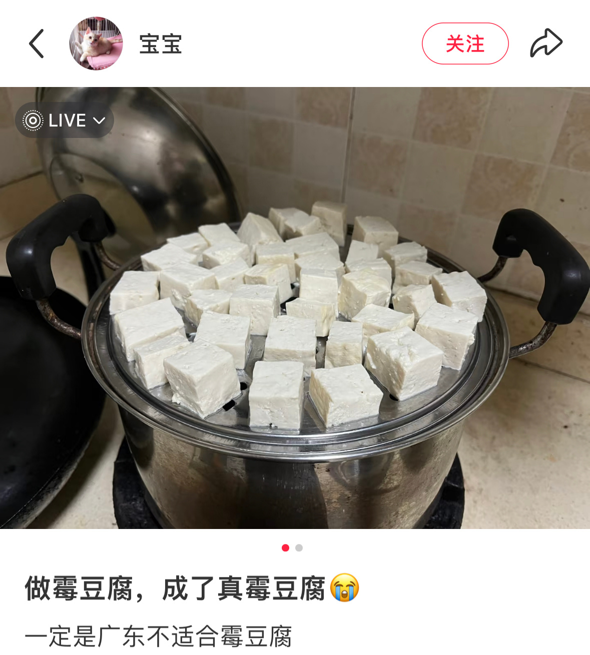 把霉豆腐做成了发霉豆腐 