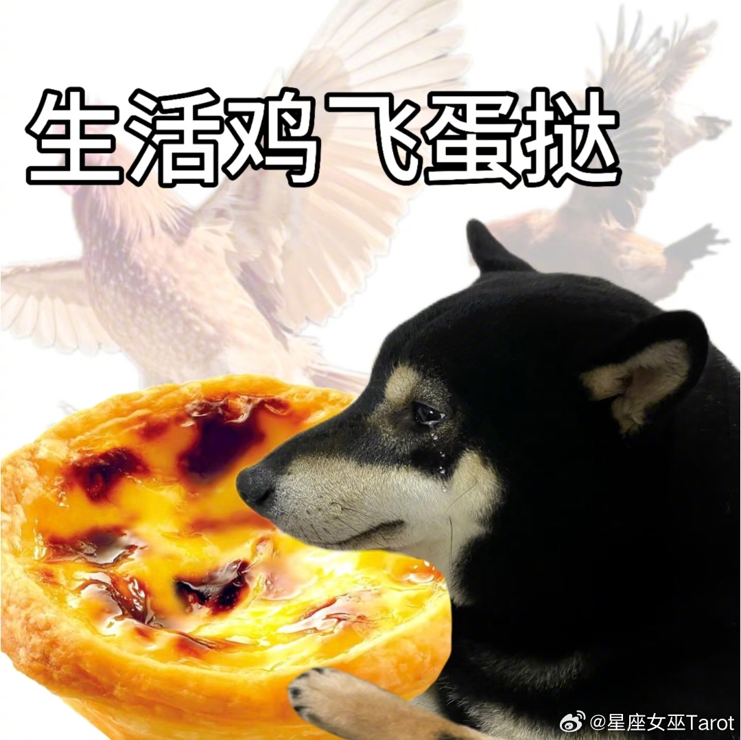 十二星座【点外卖】时的真实状态：白羊：哪个最快点哪个金牛：凑满减凑了二十分钟双子