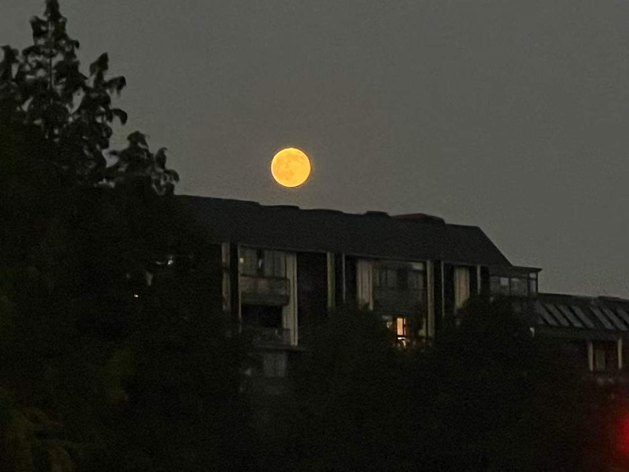 月亮寒月沉霜景，暮风漫皓华北京时间今天中午12: 12，再次达到了满月（望）的时