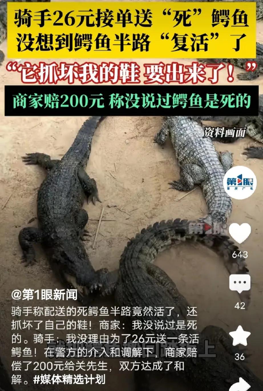 广东广州，外卖小哥接到配送鳄鱼的订单，鳄鱼用尼龙袋装着，配送费26元，商家告诉小