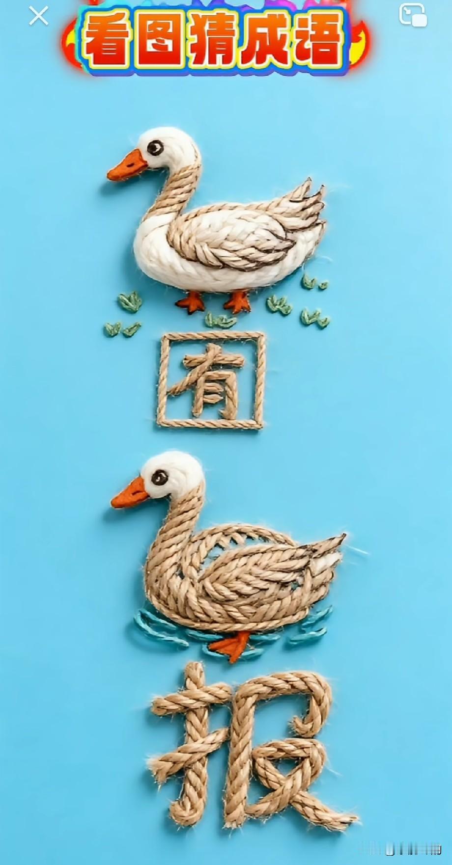看图猜成语，图中有两只小白鹅。还有一个有字，一个报字。大家觉得这是一个什么成语？