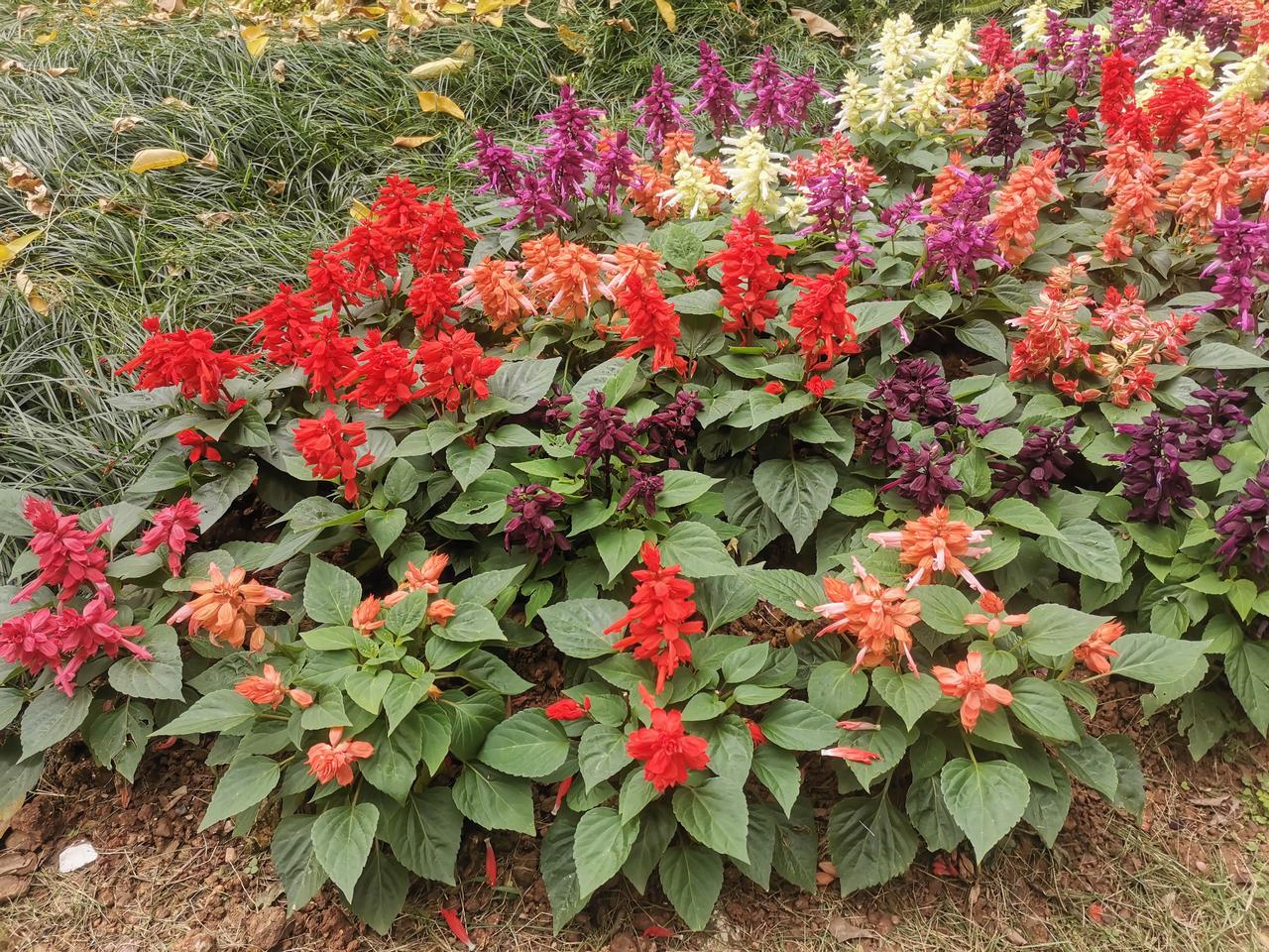 分享每日正能量
 
早安呀各位！新的一天又来啦！
 
其实日子哪有那么多惊天动地