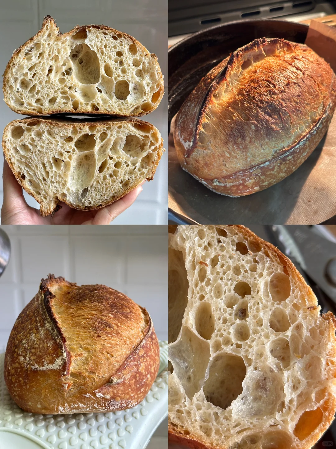 一颗素欧包！天然酵种