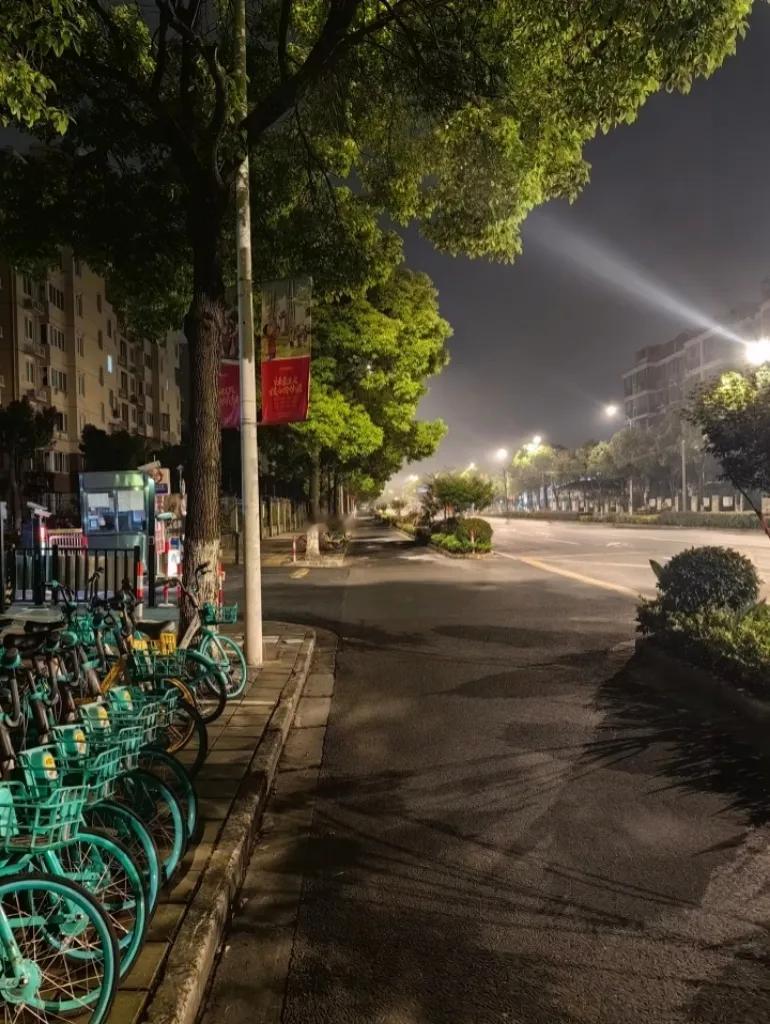 一位社会学家说，
单身的人到老了，大可不必操心死后无人收尸的问题。倘若居家离世，