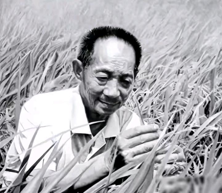 民以食为天，吃饭问题，始终是一个国家安稳发展的底线。

如今我们能够安稳吃饱米饭