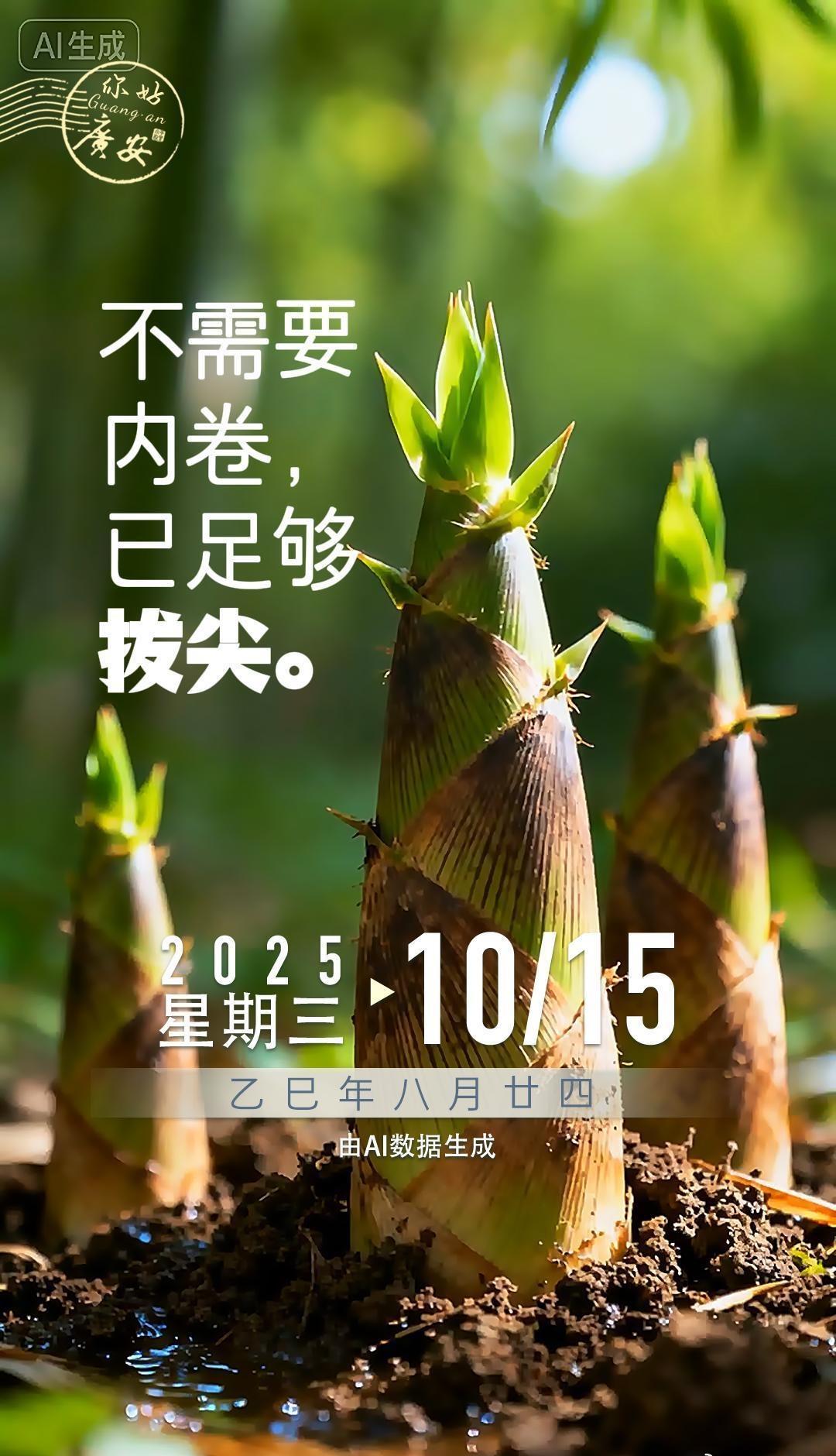 不需要内卷，已足够拔尖。