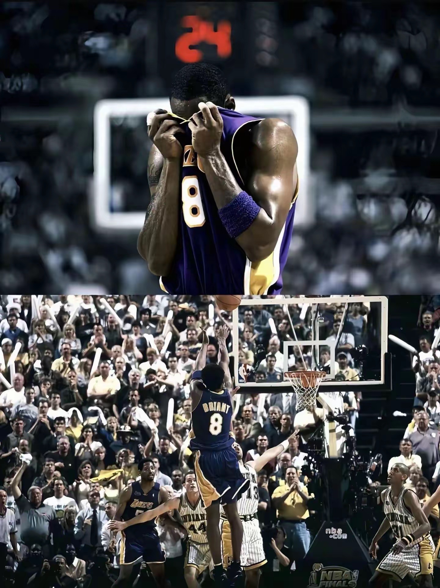 不要沮丧，不必惊慌，做努力爬的蜗牛或坚持飞的笨鸟，我们试着长大，一路跌跌撞撞，然