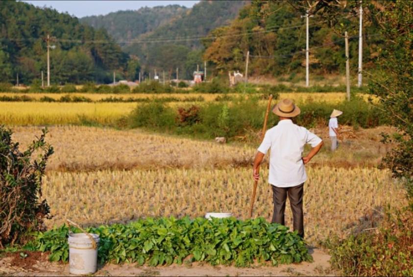农民的基本养老金实在是太少了，应该大幅提高！如果农民每月能够拿到1000元以上的