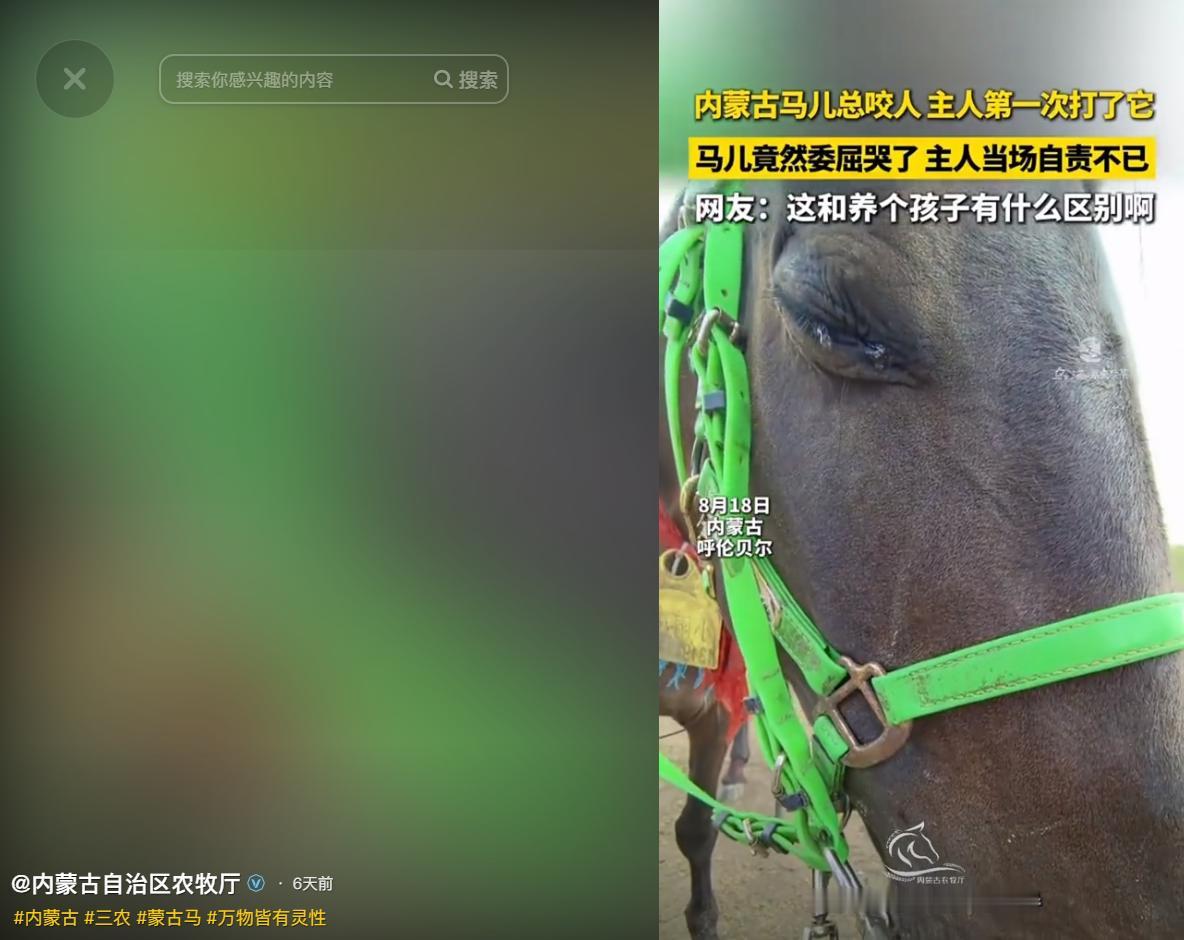 感动！内蒙古呼伦贝尔，一匹蒙古马被主人第一次轻轻教训后，站在原地眼泪大颗大颗往下