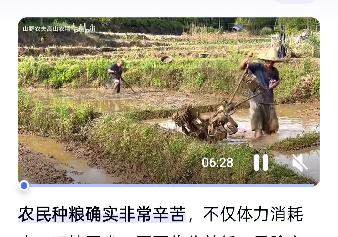 生活感悟(十七)

一个根本就不知道粮食是怎么生长出来的人，他是很难做到珍惜粮食