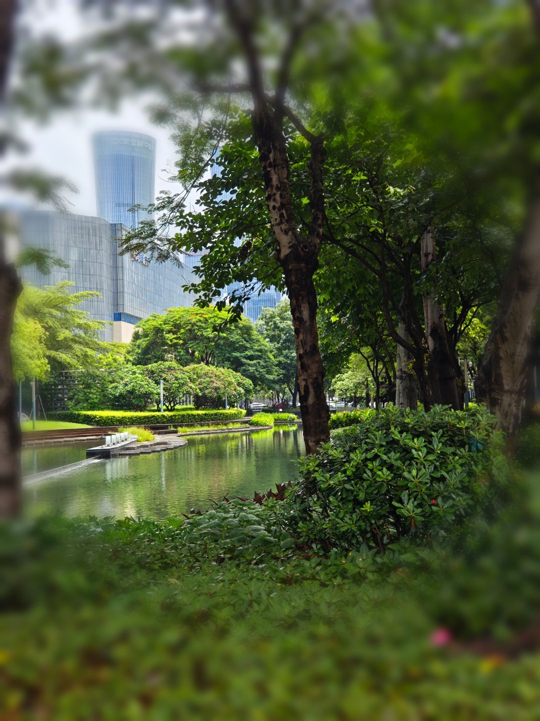 路过，仿佛绿野仙踪🌿 