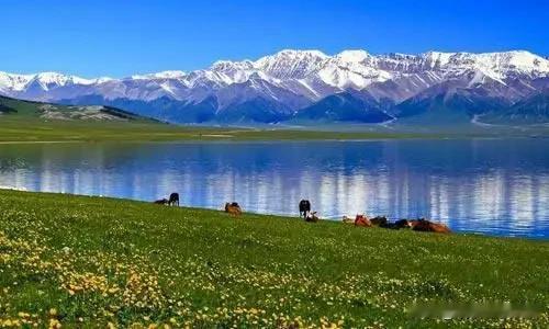 我想去新疆伊犁

这是我今年春夏的旅游计划
怎奈计划赶不上变化
也只能在网上看看